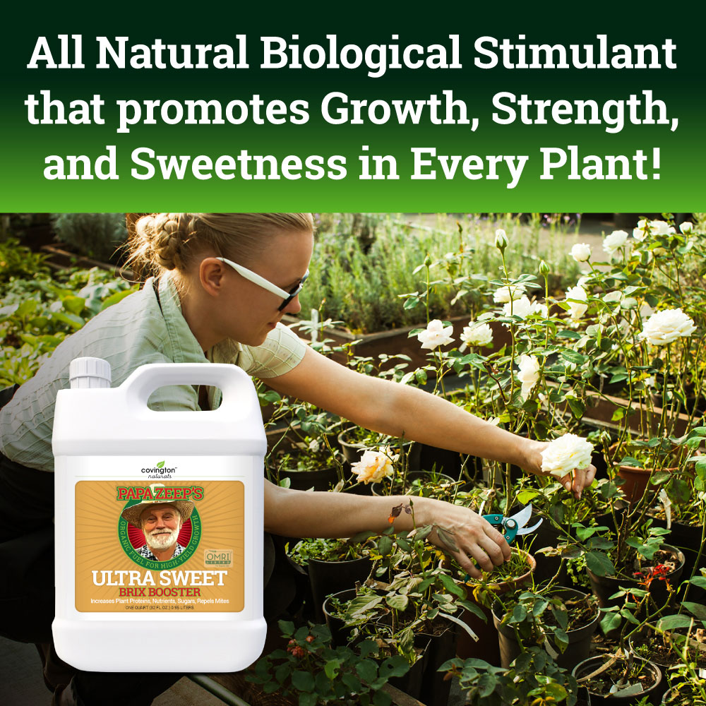 Covington Naturals Papa Zeep's Ultra Sweet Brix Booster